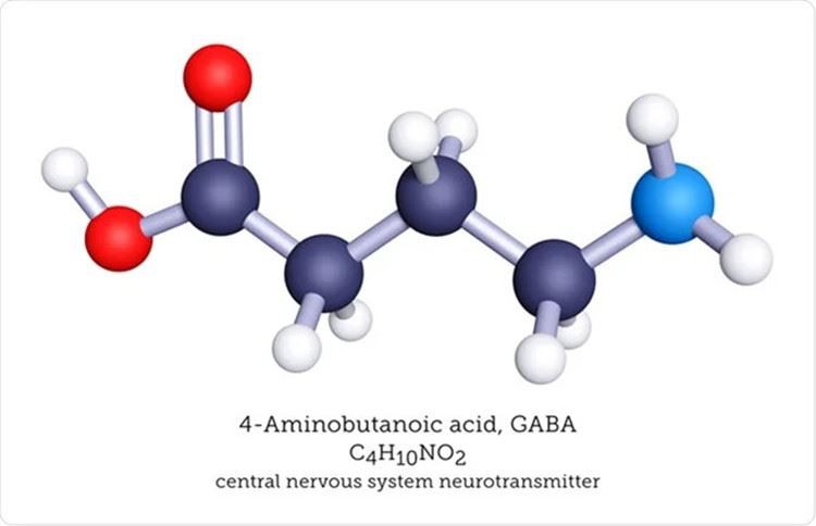 GABA Chemical Structure