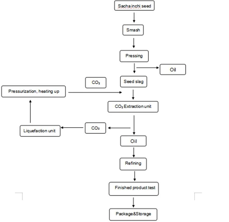 Flow Chart