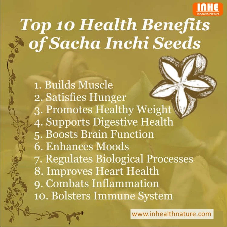 Health Benefits of Sacha Inchi Seed Oil