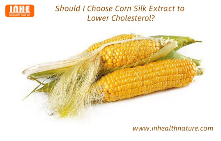 Should I Choose Corn Silk Extract to Lower Cholesterol
