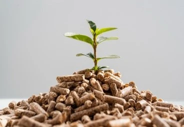 4-Animal Feed Pet Nutrition