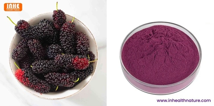 Mulberry Fruit and Mulberry Powder