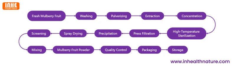 Mulberry Fruit Powder Flow Chart